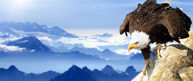 1504850976332274.jpg 6.jpg